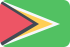 Flag of French Guyana