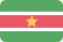 Flag of Suriname